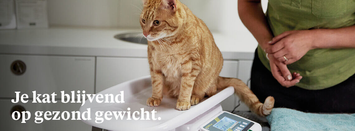 Met de gratis weegservice van jouw dierspecialist. Met de gratis weegservice van jouw dierspecialist.